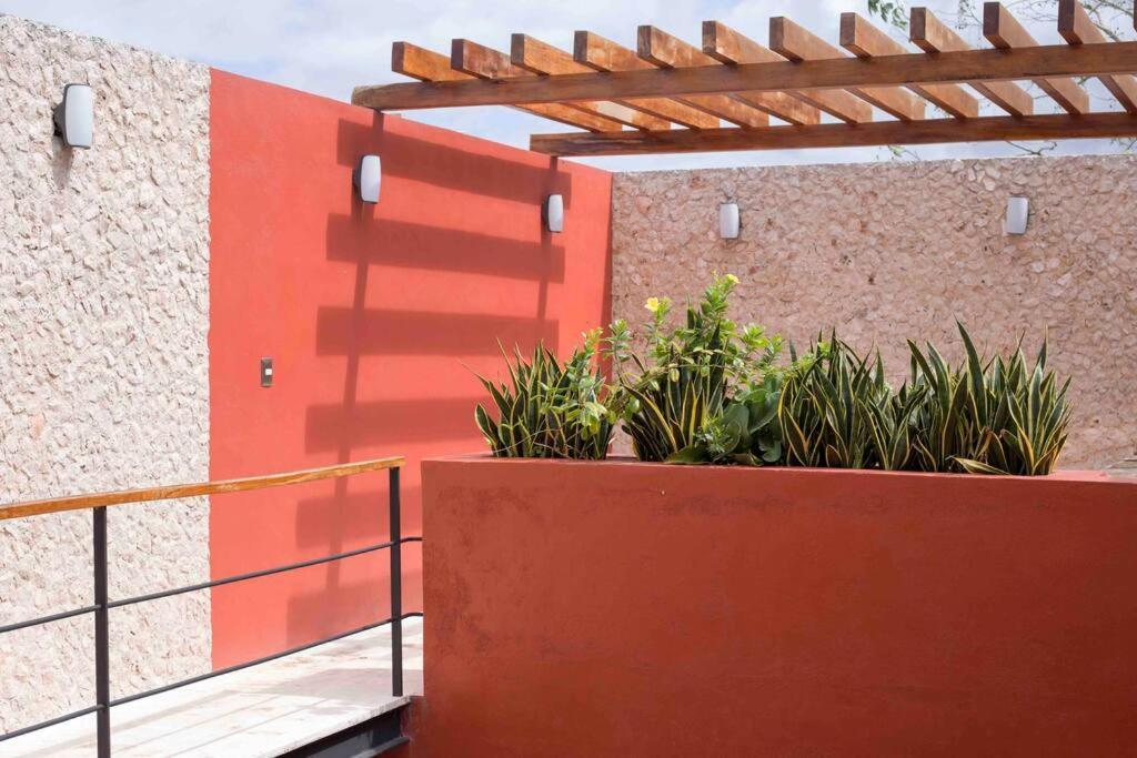 Casona Xtabay, En El Centro De Valladolid Βίλα Βαγιαδολίδ Εξωτερικό φωτογραφία
